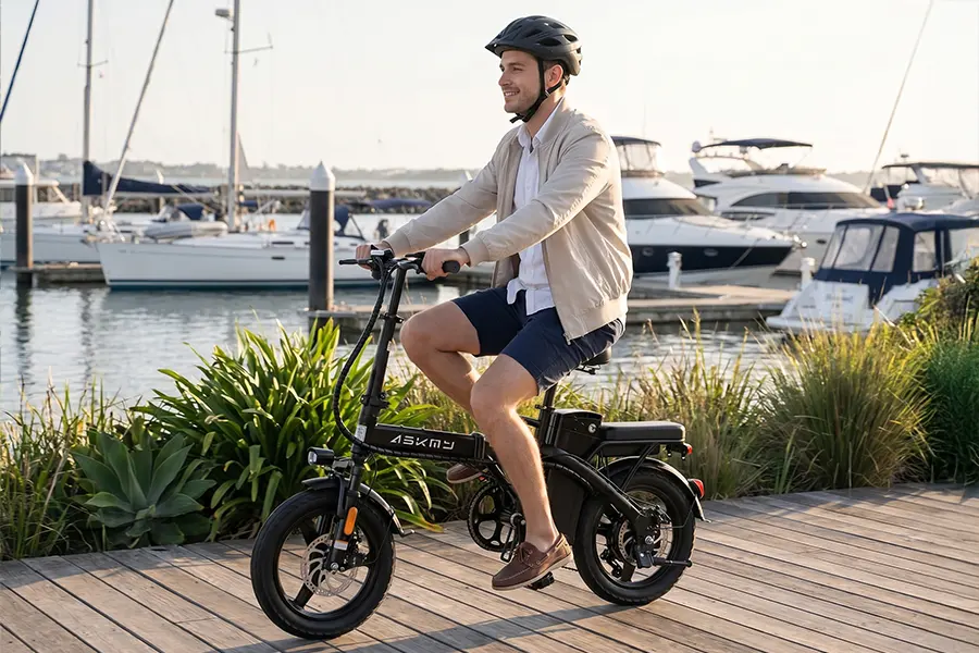 E-Bike vs Public Transport Cost