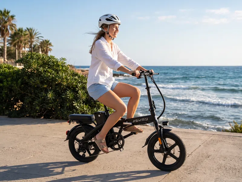 UL 2849 and UL 2271 Explained: Why I Refuse to Ride an Uncertified E-Bike
